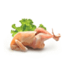 সোনালি মুরগি (চামড়া ছাড়া) - Sonali Chicken (Without skin)